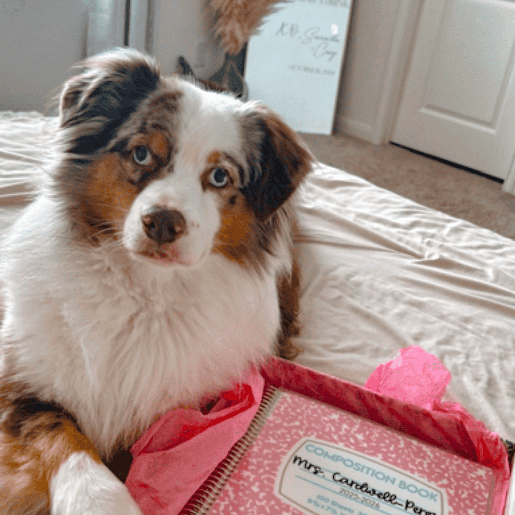 dog with personalized planner